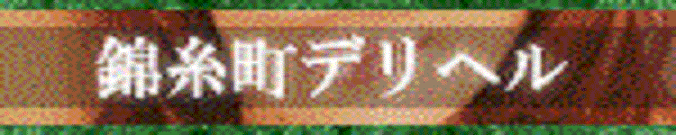 錦糸町ローズマリー [錦糸町・亀戸：デリバリーヘルス]