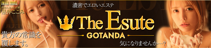 THE ESUTE 五反田店 [五反田・目黒：派遣アロマエステ]