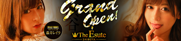 THE ESUTE 渋谷店 [渋谷：派遣アロマエステ]