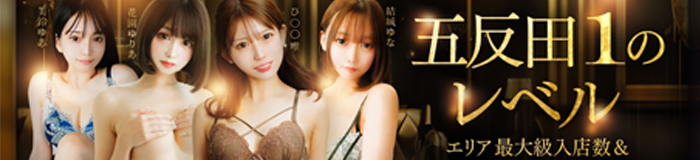 ロッサ [五反田・目黒：ホテルヘルス]