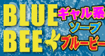 BLUE BEE