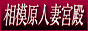 相模原人妻宮殿