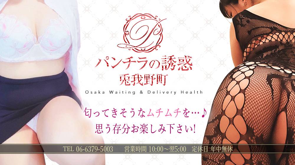 ﾊﾟﾝﾁﾗの誘惑　兎我野町