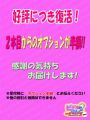 お得なｵﾌﾟｼｮﾝ割引2個めからは半額に♪