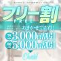 MAX5,500円OFF！ オトクなフリー割